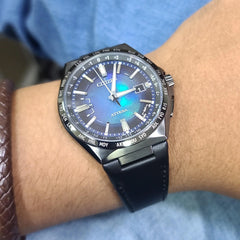 Citizen Titanium