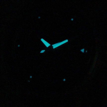 Citizen Eco-Drive AW1060-08E Mens Watch
