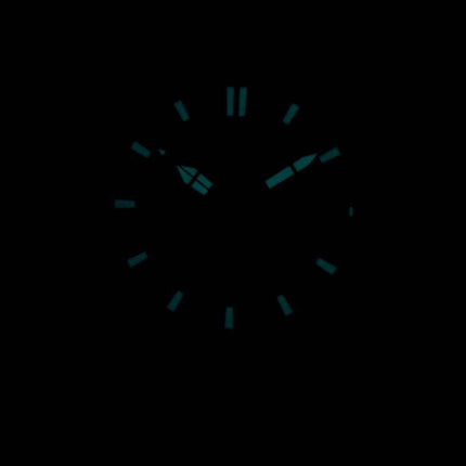 Citizen Endeavor Eco-Drive Diver's 200M AW1424-62L Men's Watch