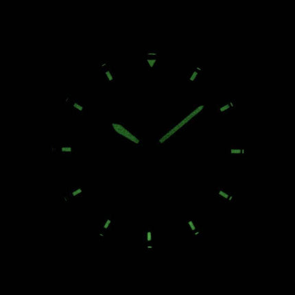 Citizen Quartz Black Dial BI1050-81F Mens Watch