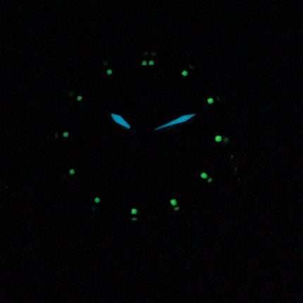 Citizen Quartz Black Dial EQ0560-09E Womens Watch