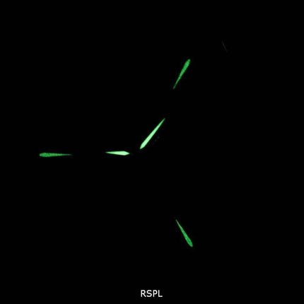 Hamilton Ventura XXL Automatic H24655331 Mens Watch