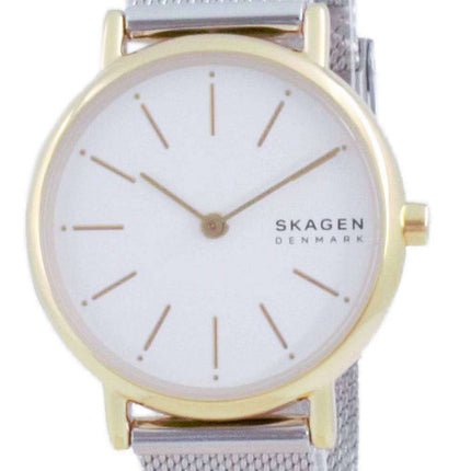 Skagen Signatur Stainless Steel Quartz SKW2910 Women's Watch