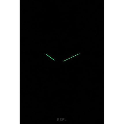 Skagen Signatur Leather Strap Black Dial Quartz SKW6902 Men's Watch