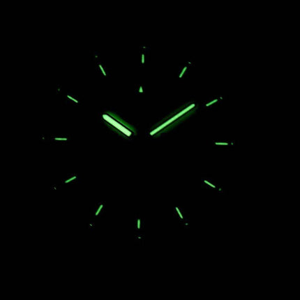 Seiko Chronograph Quartz SNN115 SNN115P1 SNN115P Men's Watch