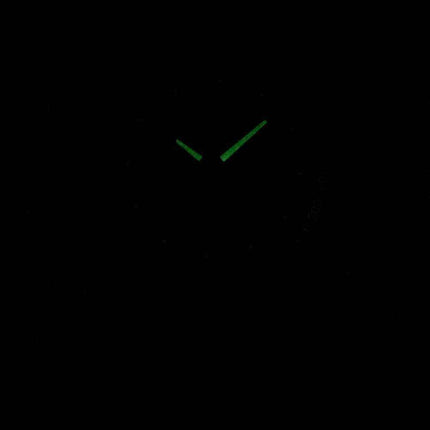 Timex Indiglo Chronograph Quartz T2P043 Men's Watch